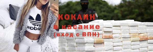 бошки Горняк