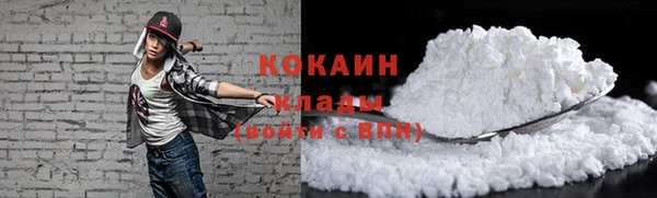бошки Горняк