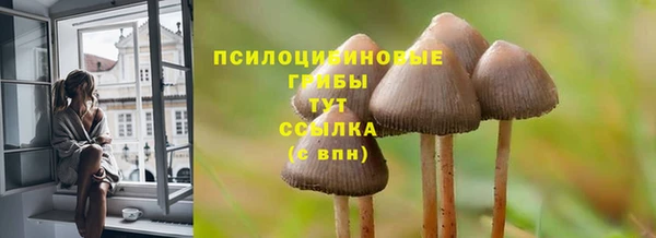 mix Горно-Алтайск