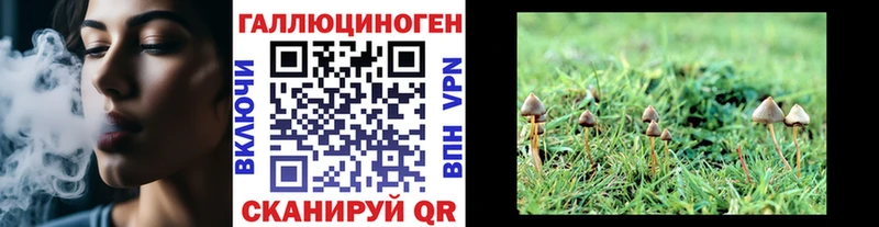 Псилоцибиновые грибы Cubensis  omg ССЫЛКА  Гусиноозёрск 